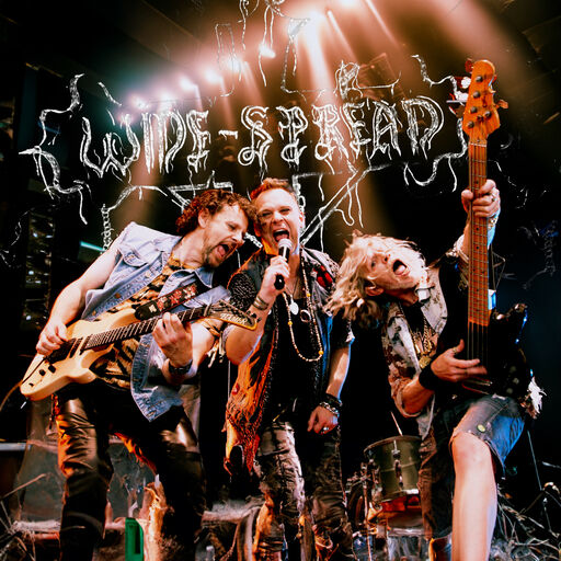 LnkBio profile picture for @widespread