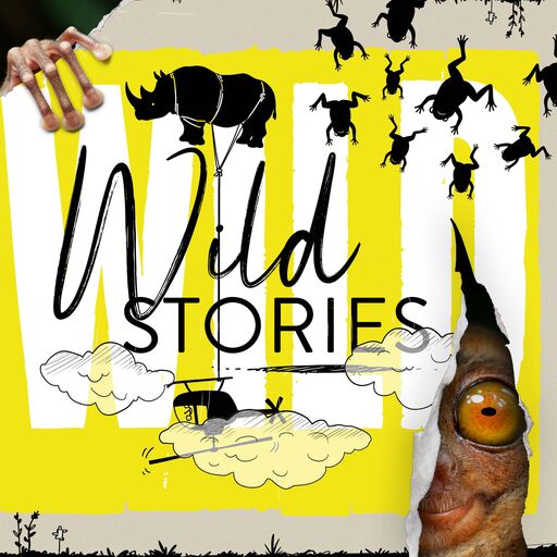 @wildstories Profile Picture