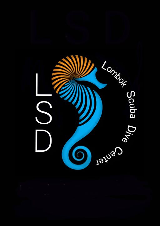 @lombokscubadive Profile Picture