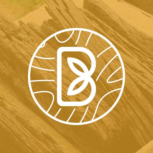 LnkBio profile picture for @beams