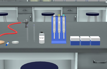 @Virtual Lab Profile Picture