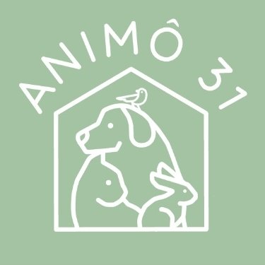 @animo_31 Profile Picture