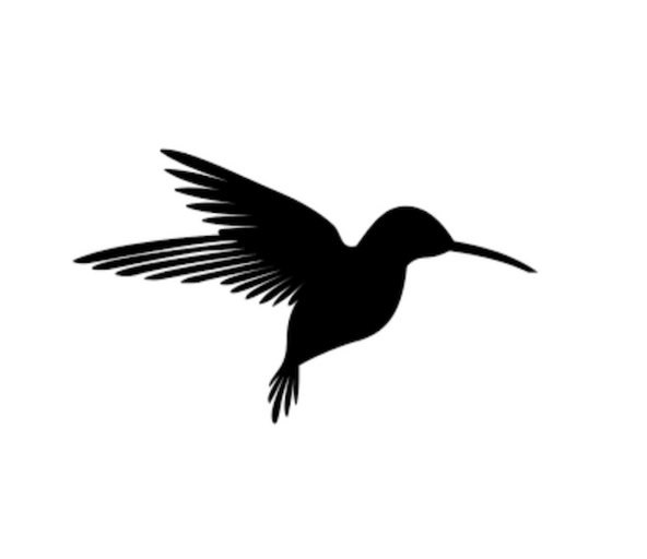 @elpolinpress Profile Picture