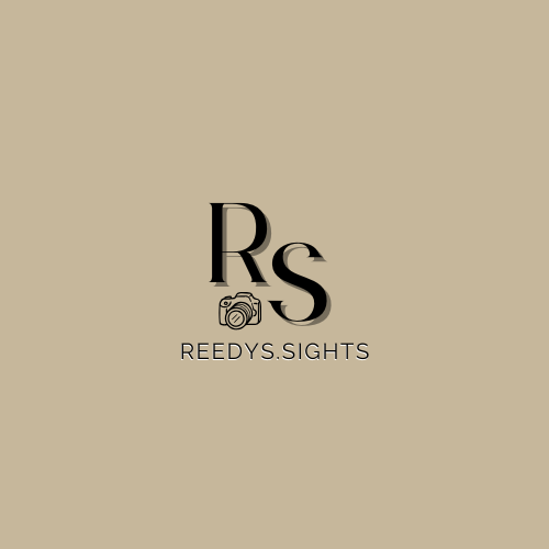 @reedyssights Profile Picture