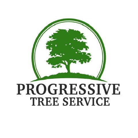 @progressivetree Profile Picture