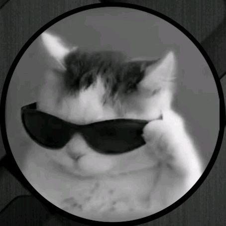LnkBio profile picture for @quoc