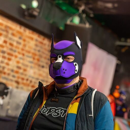 @matlow_pup Profile Picture
