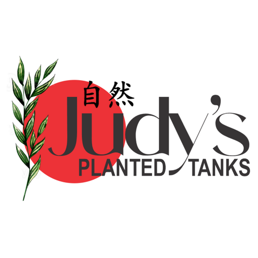 @judys.planted.tanks Profile Picture