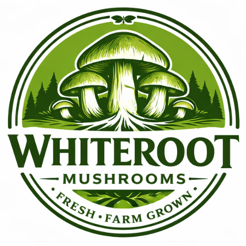 @whiterootmushrooms Profile Picture