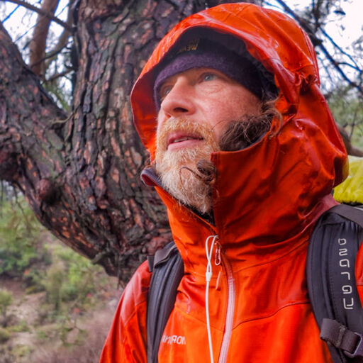 @wildfreeway Profile Picture