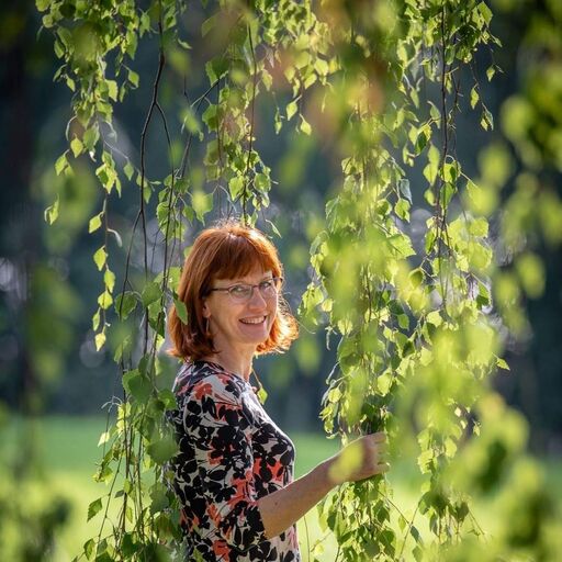 @luonnonhetki Profile Picture