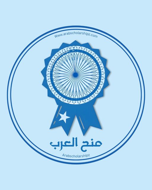 LnkBio profile picture for @scholarships