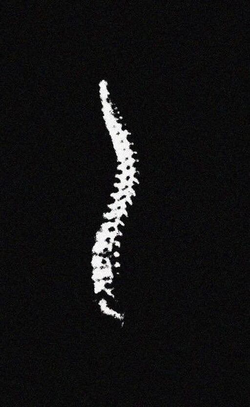LnkBio profile picture for @spine