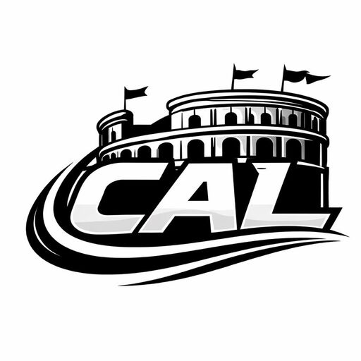 @codarenaleague Profile Picture