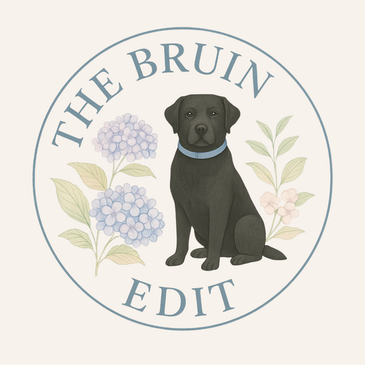 @thebruinedit Profile Picture