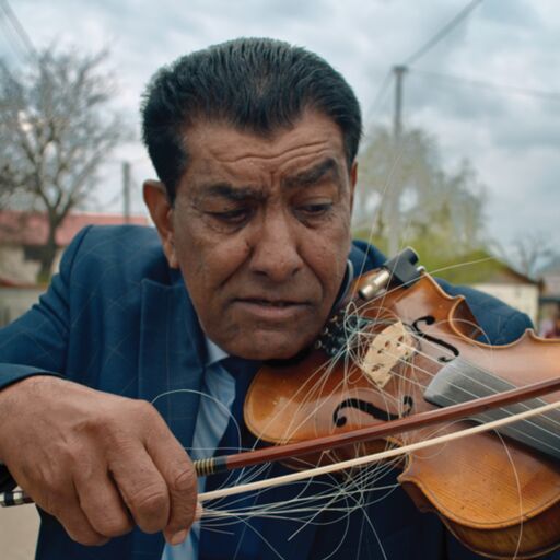 @Caliuthemovie Profile Picture