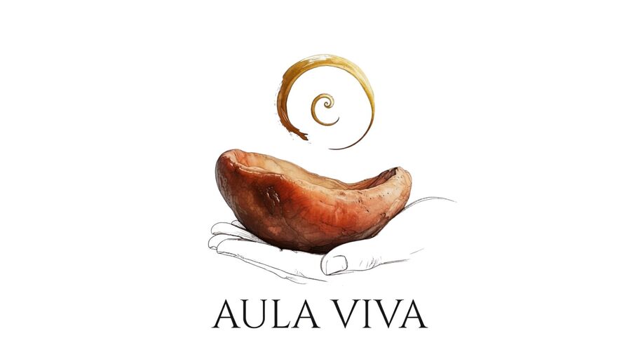 @metodoaulaviva Profile Picture