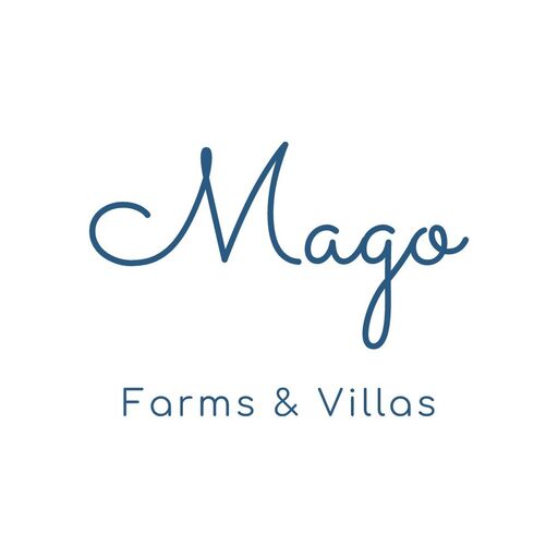 @magostays Profile Picture