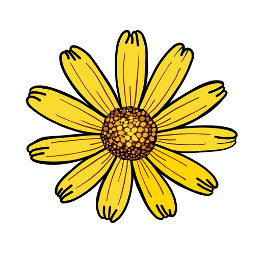 @NeophyteID Profile Picture