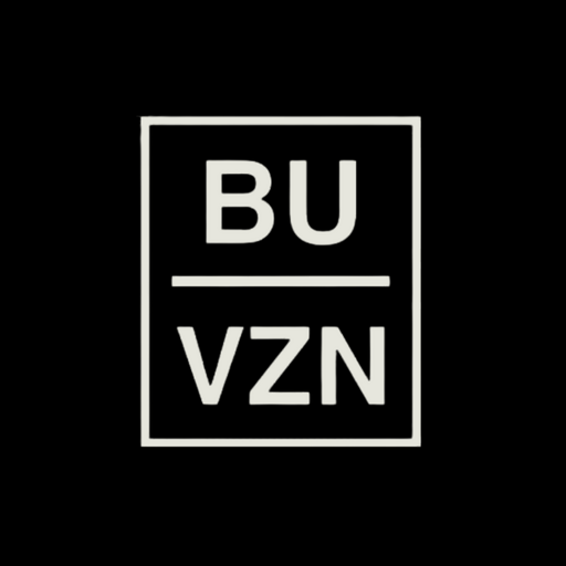 @BuVision Profile Picture