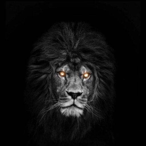 @makulu2002 Profile Picture