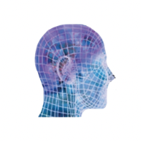 @Training-Minds Profile Picture