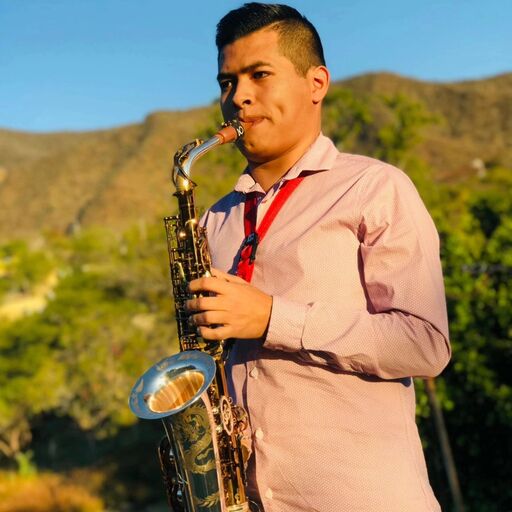 @mike._sax Lnk.Bio · link in bio