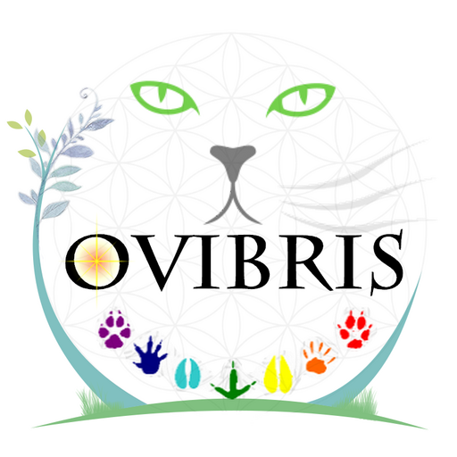 @ovibris Profile Picture