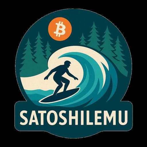@bitcoin.pichilemu Profile Picture