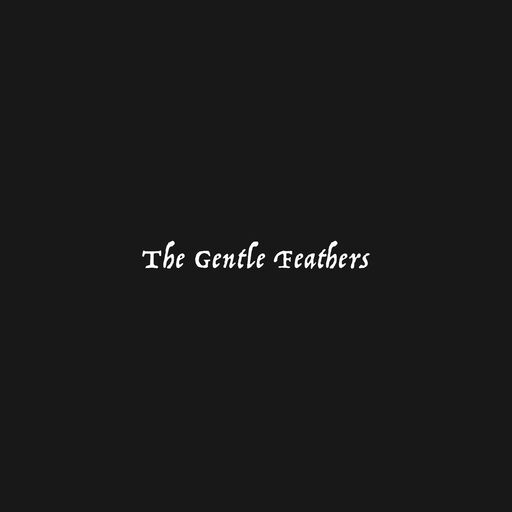 @thegentlefeathers Profile Picture