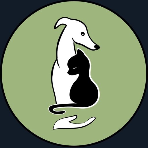 @associationflaca Profile Picture