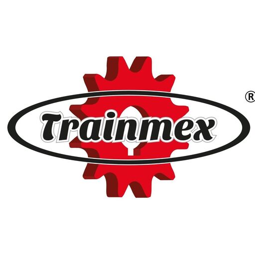 @trainmex_mx Profile Picture