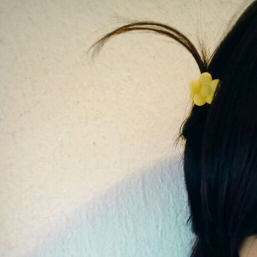 @zen.maracuya Profile Picture