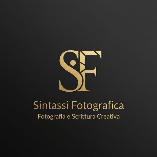 @Sintassifotografica Profile Picture