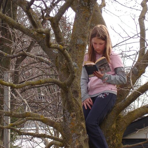 @jottingbooksdown Profile Picture