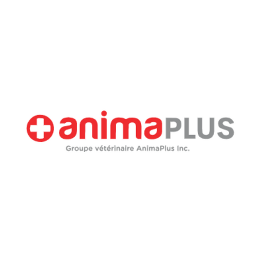 @@anima-plus Profile Picture