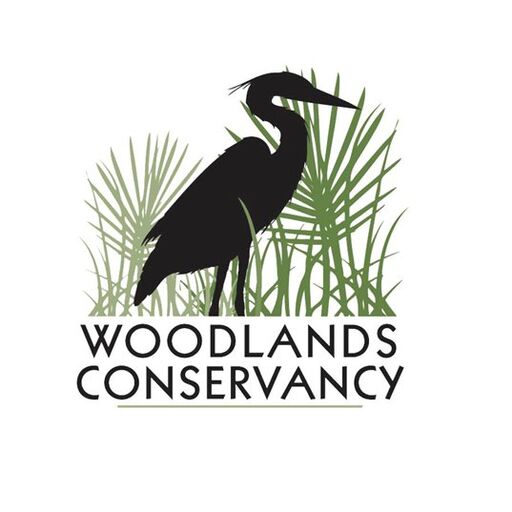 @woodlandsnola Profile Picture