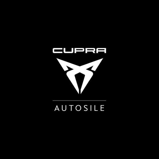 @cupragarage_treviso Profile Picture