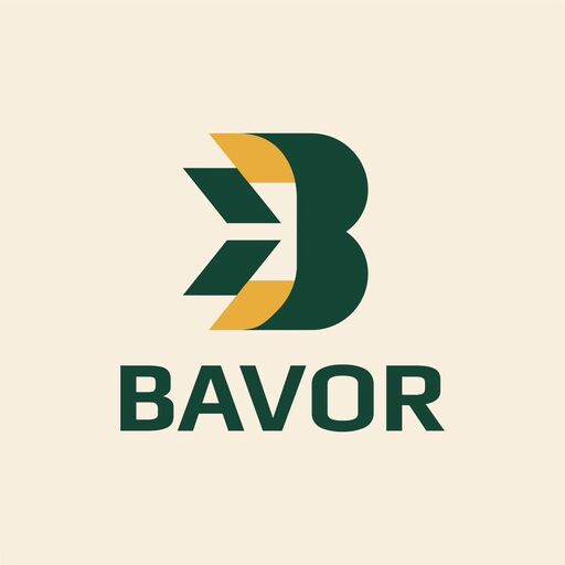 @bavorconsulting Profile Picture