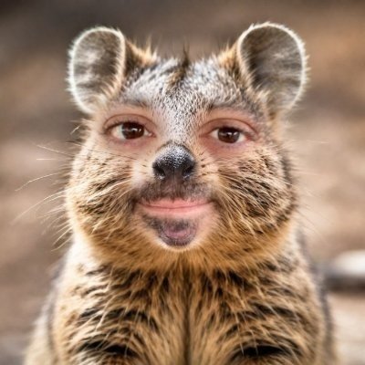 @Network_Guy8 Profile Picture