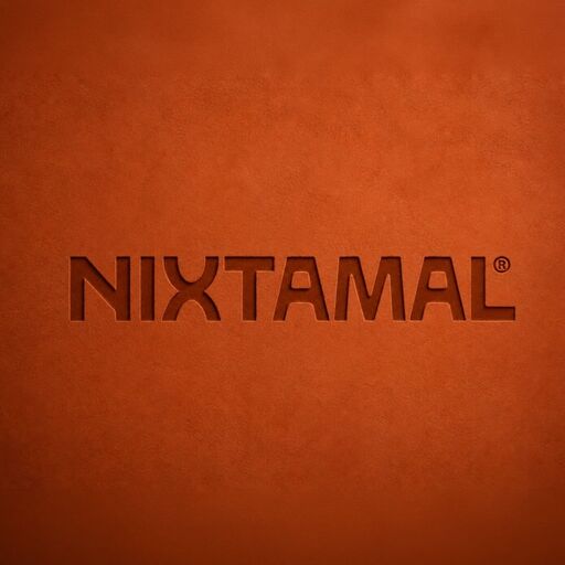 @nixtamalgdl Profile Picture