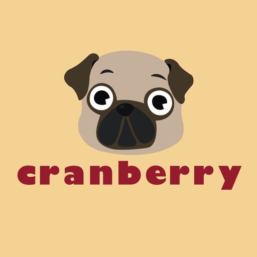 LnkBio profile picture for @cranberry