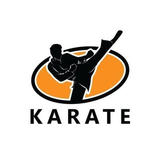 LnkBio profile picture for @karate
