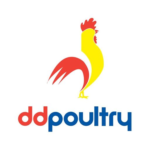 @ddpoultry Profile Picture