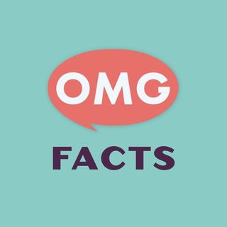 @omgfacts Profile Picture