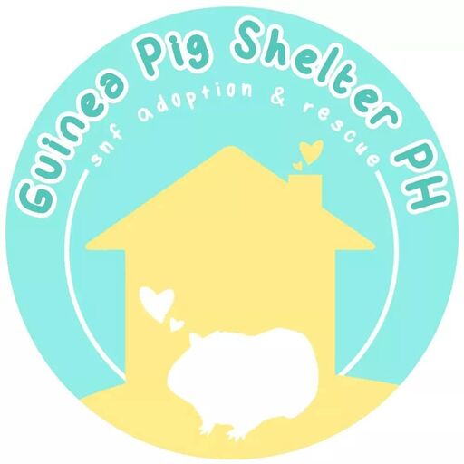 @guineapigshelterph Profile Picture