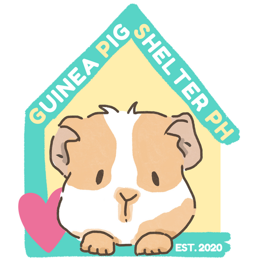 @guineapigshelterph Profile Picture