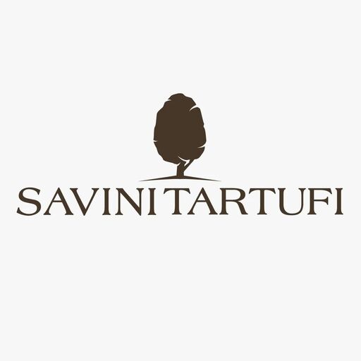 @savinitartufi Profile Picture