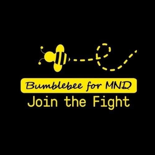 @bumblebeeformnd Profile Picture