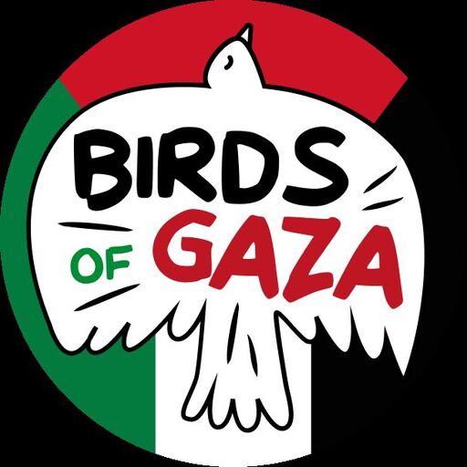 @birdsofgaza Profile Picture